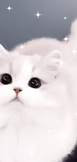 Fluffy white cat with big eyes, perfect for mobile wallpaper.