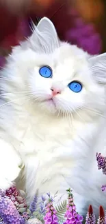 Fluffy white cat with blue eyes and a floral background.