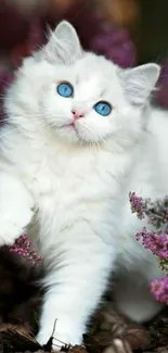 Fluffy white cat among purple flowers.