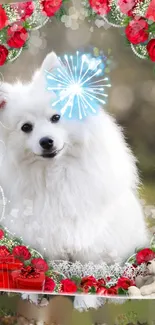 White fluffy dog with red rose floral frame wallpaper.