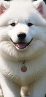 Fluffy white dog smiling on green grass background.