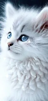 Fluffy white kitten with blue eyes and a snowy background.