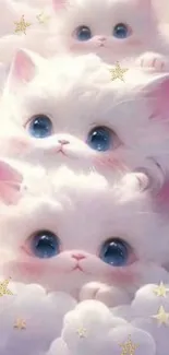 Fluffy white kittens peeking through soft clouds with golden stars around.