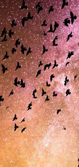 Silhouetted birds against a pink galaxy sky in a mobile wallpaper.