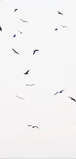 Silhouettes of birds flying in the bright, clear sky for mobile wallpaper.