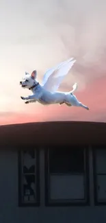 Flying dog with wings over house at sunset.