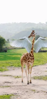 Whimsical image of a giraffe with wings in a lush green landscape.