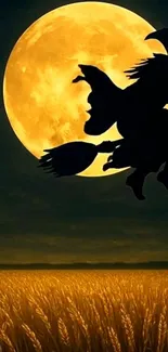 Witch silhouette flying before full moon.