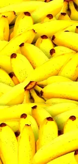 Food Banana Plant Live Wallpaper