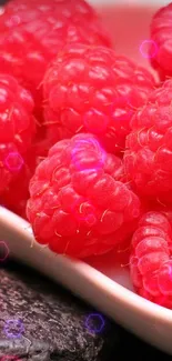 Food Boysenberry Fruit Live Wallpaper