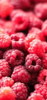 Food Close Berry Live Wallpaper