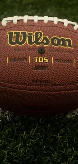 Close-up of a football on a grassy field with a white line.