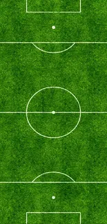 High-resolution mobile wallpaper of a soccer field with green grass.