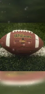 Football resting on green grass with starry background.