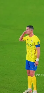 Football player in yellow and blue kit on green field.