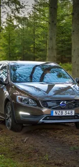 Car in the forest mobile wallpaper with lush greenery.