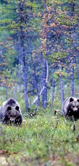 Two brown bears in a lush forest with green foliage.