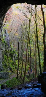 View from a cave entrance into a green forest in autumn.