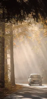 Car driving through sunlit forest pathway in autumn.