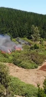 Aerial view of a forest fire with smoke rising among greenery.