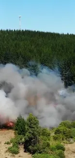 Forest fire with smoke plumes rising against a backdrop of dense green trees.