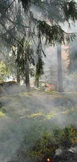 Smoke-filled forest with fires and sun rays filtering through the trees.