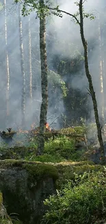 Mobile wallpaper featuring a vivid forest fire scene.