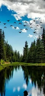 Tranquil forest lake with birds under a blue sky.