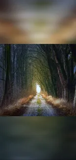 Serene forest pathway at dawn with lush greenery and light.