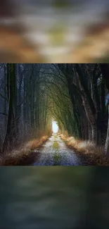 A serene forest path surrounded by tree tunnels and greenery.