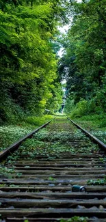 Forest railway path with lush greenery and weathered tracks.