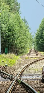 Railway tracks through lush green forest under a clear sky.