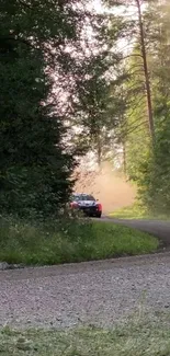 Rally car navigating through lush green forest road with dust trail.