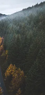 A winding road through autumn forest under misty skies in a mobile wallpaper.