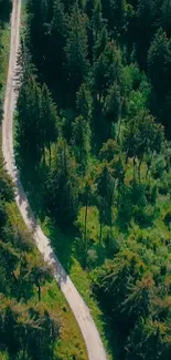 Lush green forest road on a mobile wallpaper.