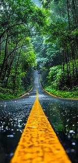 Forest road with lush greenery and rain reflections.