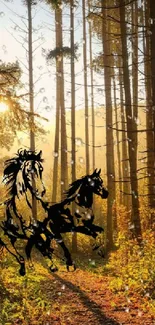 Forest path with horse silhouette and sunlight filtering through trees.