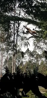 Silhouette of bear in forest landscape with trees and birds.