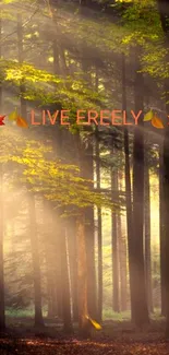 Sunlit forest with 'Live Freely' text, inspiring mobile wallpaper.