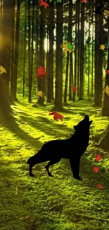 Wolf silhouette in a bright forest with colorful falling leaves.