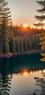 Sunset reflecting over a forested lake.