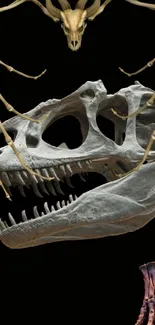 Mobile wallpaper featuring a dinosaur skeleton on a black background.