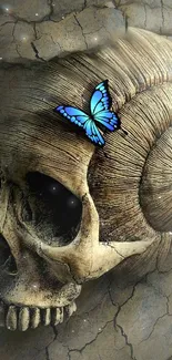 Fossilized skull with a blue butterfly on cracked earth background.