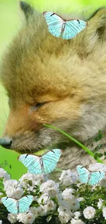 Sleeping fox with blue butterflies and white flowers.