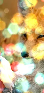 Fox and chicken in an autumn field with orange hues.