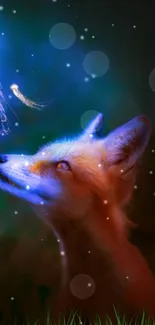 Fox gazes at glowing jellyfish in a star-lit fantasy scene.