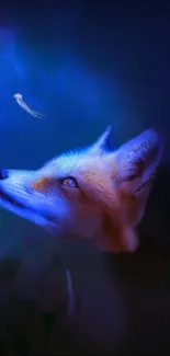 Fox stares at glowing jellyfish in a blue, dreamlike setting.