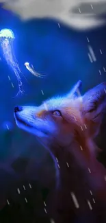 Curious fox gazing at glowing jellyfish in magical nighttime forest wallpaper.