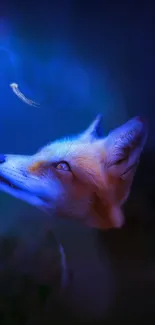 Fox gazes at glowing jellyfish in vibrant blue fantasy wallpaper.