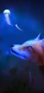 Fox gazing at glowing jellyfish in fantasy wallpaper.